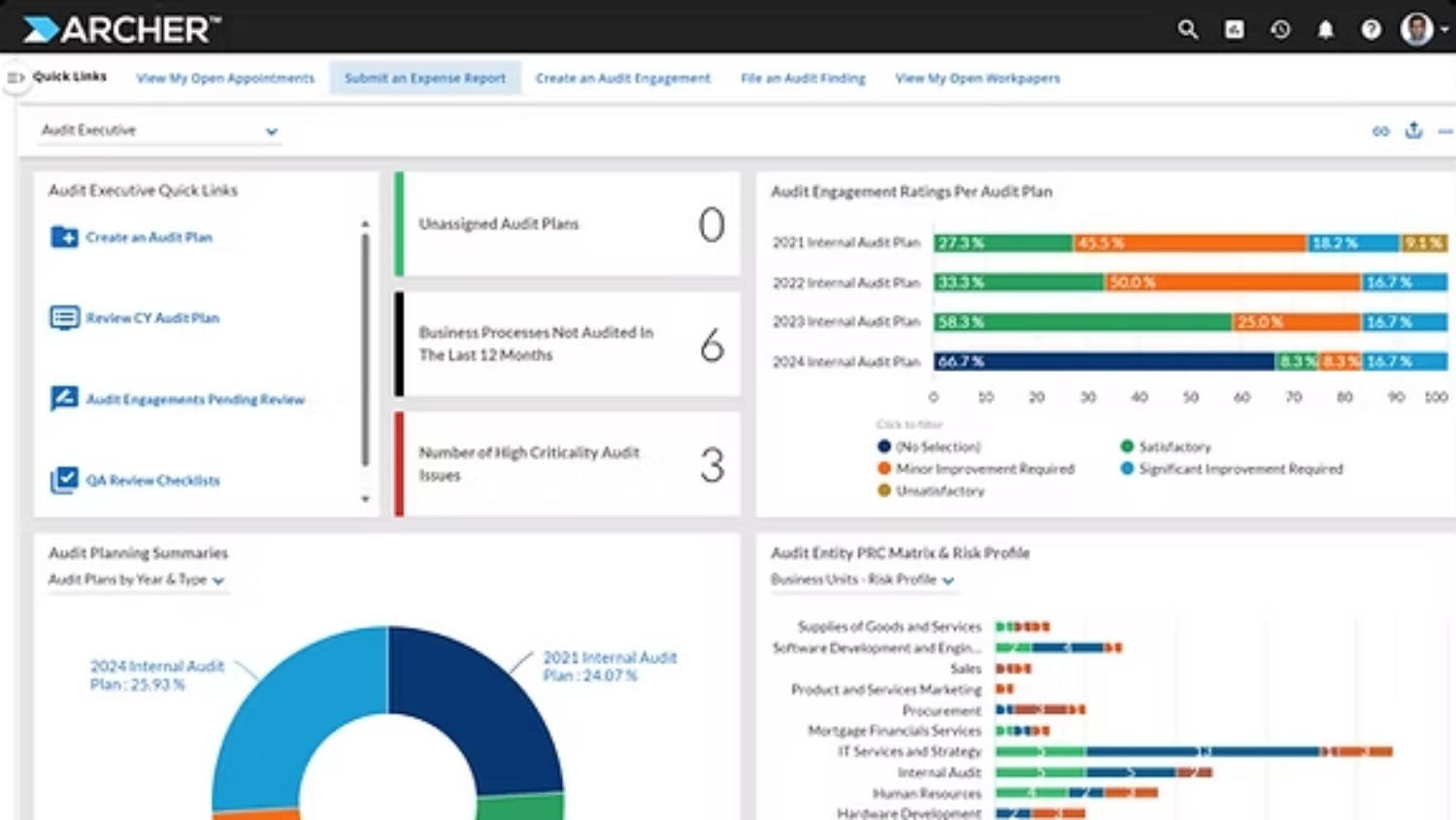 Archer Audit Management - Interface. 