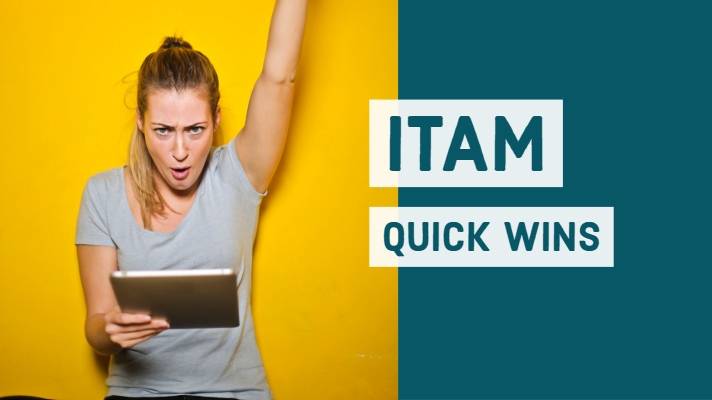 IT Asset Management Quick Wins (1)-1