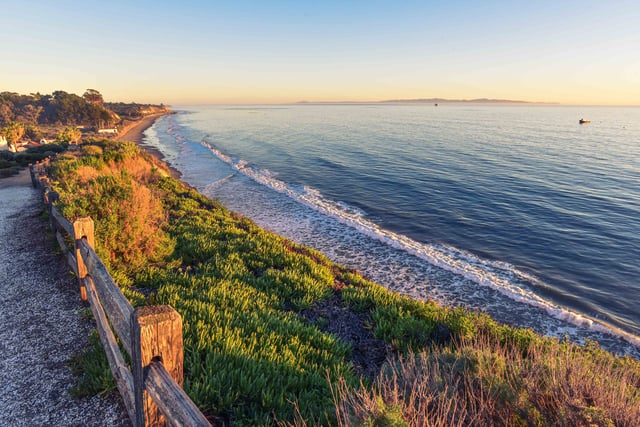 wood-nature-sunset-beach