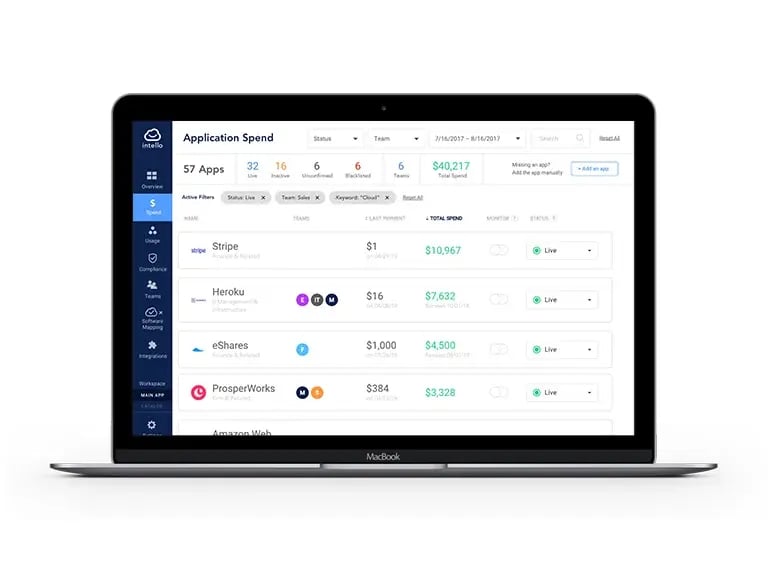 SailPoint SaaS Management