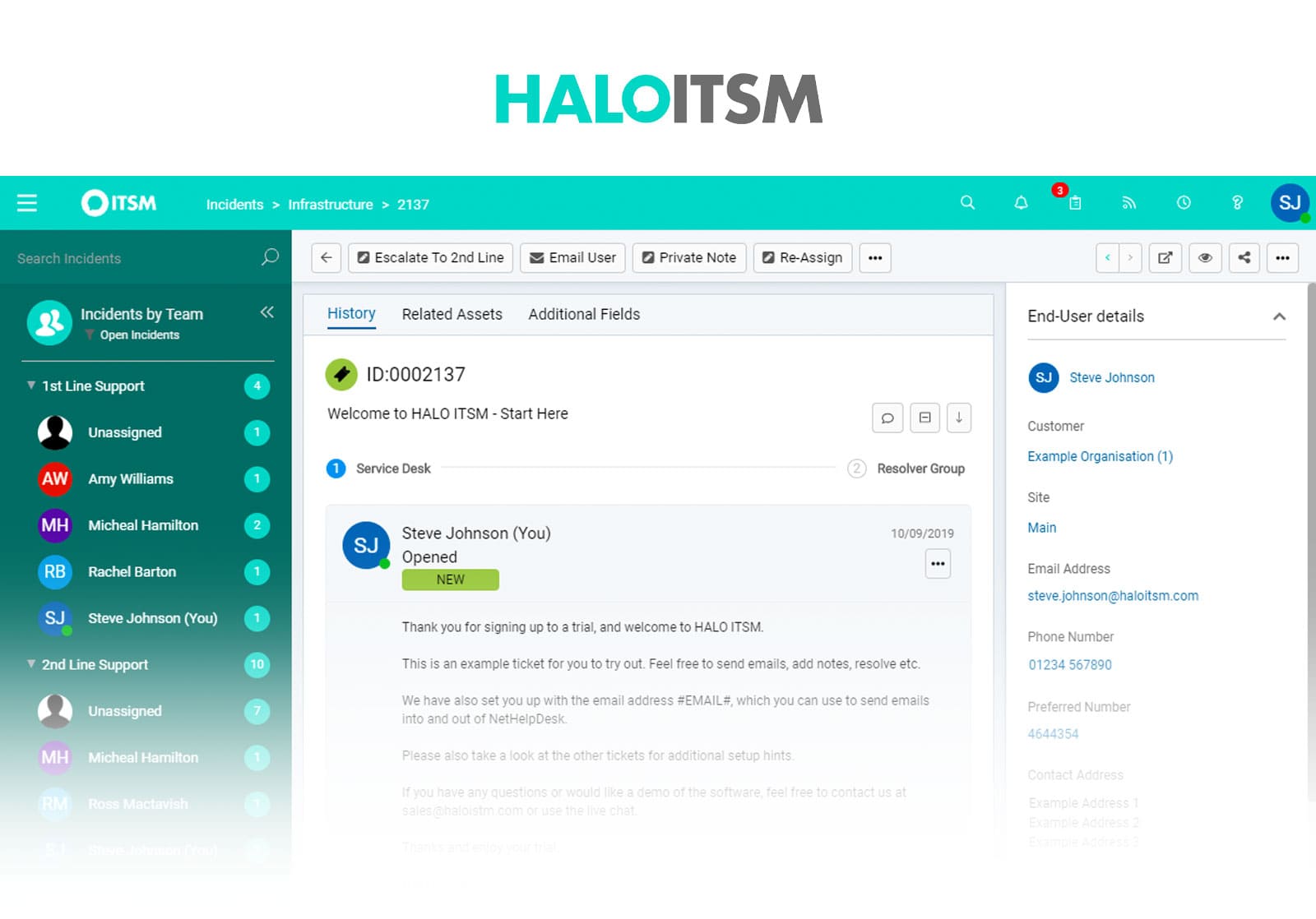Example of HaloITSM's interface.