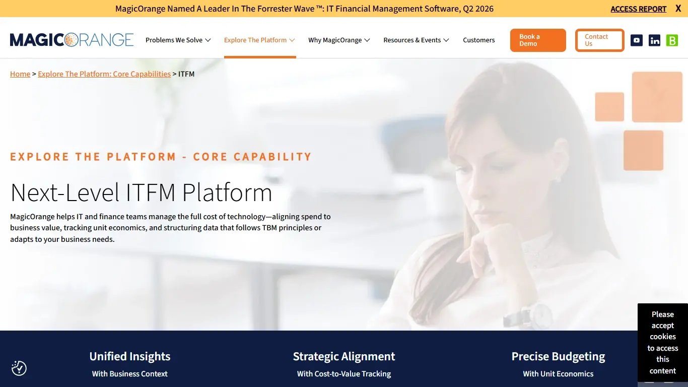 MagicOrange ITFM software website.